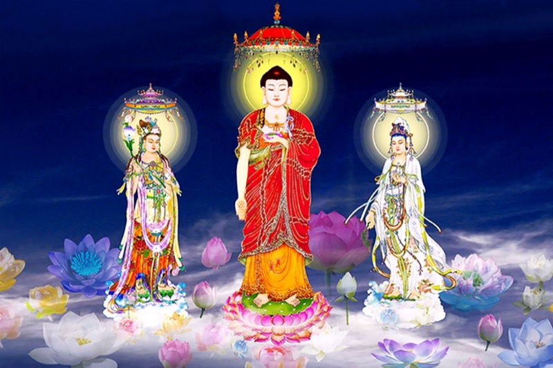 Tịnh Độ Tông - Con Đường Tu Tập