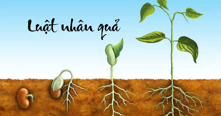 Luật nhân quả là gì